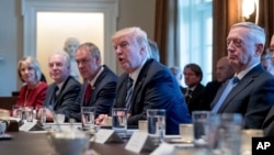 President Donald Trump speaks during a Cabinet meeting in the Cabinet Room of the White House in Washington, March 13, 2017.