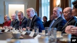 President Donald Trump speaks during a Cabinet meeting in the Cabinet Room of the White House in Washington, March 13, 2017.