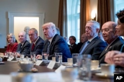 President Donald Trump speaks during a Cabinet meeting in the Cabinet Room of the White House in Washington, March 13, 2017.