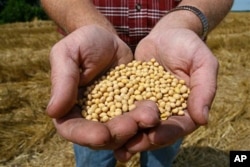 A farmer holds seeds at his family farm in Minnesota (File)