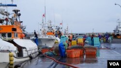 Thực tập sinh kỹ thuật từ nước ngoài làm việc trong ngành đánh bắt cá ở Nhật Bản.