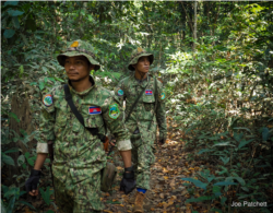 មន្ត្រី​ឧទ្យានុរក្ស​នៃ​ប៉ុស្តិ៍​ប្រចាំ​ការ​ស្រុក​ថ្ម​បាំង ដើរ​ល្បាត​ព្រៃ​ជួរ​ភ្នំ​ក្រវាញ​ដើម្បី​ស្វែងរក​សកម្មភាព​កាប់​ឈើ​និង​ប្រមាញ់​ខុស​ច្បាប់។ ក្រុម​មន្ត្រី​ឧទ្យានុរក្ស​មួយ​ក្រុម​នេះ​ទទួល​បន្ទុក​កិច្ចការ​ការពារ​ព្រៃឈើ​ក្នុង​តំបន់​ព្រៃ​ដែល​មាន​ទំហំ​ជាង ១ លាន​អា។