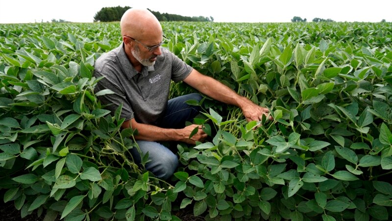 US Urges Farmers to Plant Two Crops Yearly