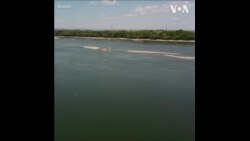 多瑙河水位下降 二战沉没的德国战舰露出水面