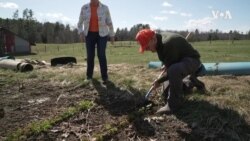 Farming the Sun