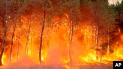 FILE - Photo provided by the fire brigade of the Gironde region SDIS 33, shows massive flames consuming trees at a forest in Saint Magne, south western France, Aug. 10, 2022.