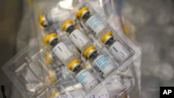 FILE - The monkeypox vaccine is seen inside a cooler during a vaccination clinic at the OASIS Wellness Center, Friday, Aug. 19, 2022, in New York.