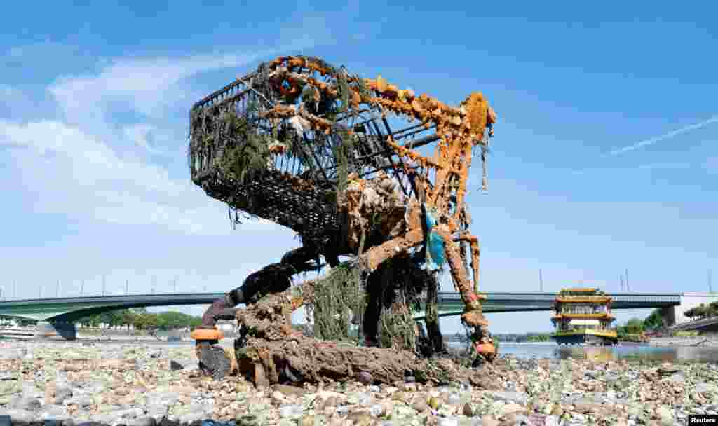 A rusted shopping cart is seen on a sandbank in the Rhine, exposed by the low tide in Bonn, Germany.