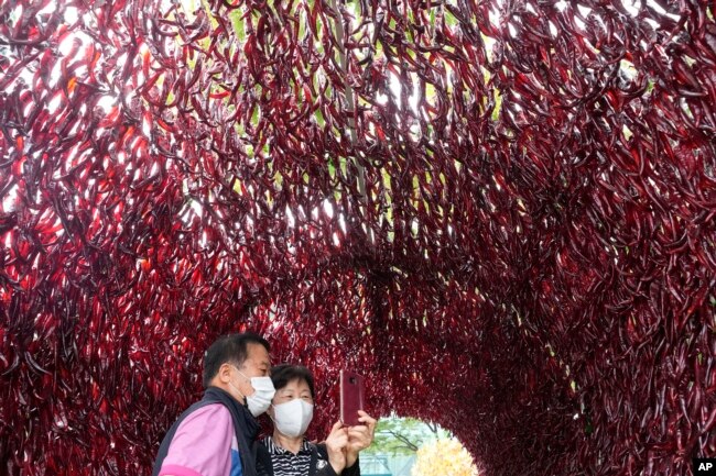 FILE - A couple wearing face masks takes a selfie photo inside a tunnel made with hot red peppers during H.O.T Festival in Seoul, South Korea, Aug. 29, 2022. (AP Photo/Ahn Young-joon)