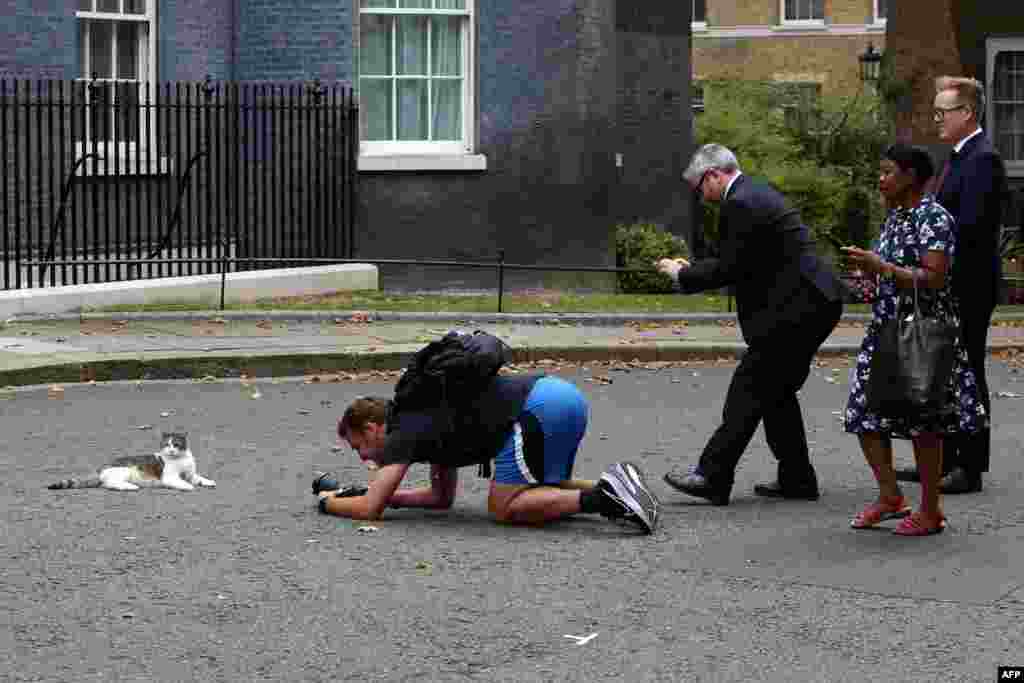 People get ready to photograph Larry the cat sitting in front of a flower arch of Ukraine's national flower, sunflowers, erected outside Number 10 Downing Street in London to mark Ukrainian Independence Day.