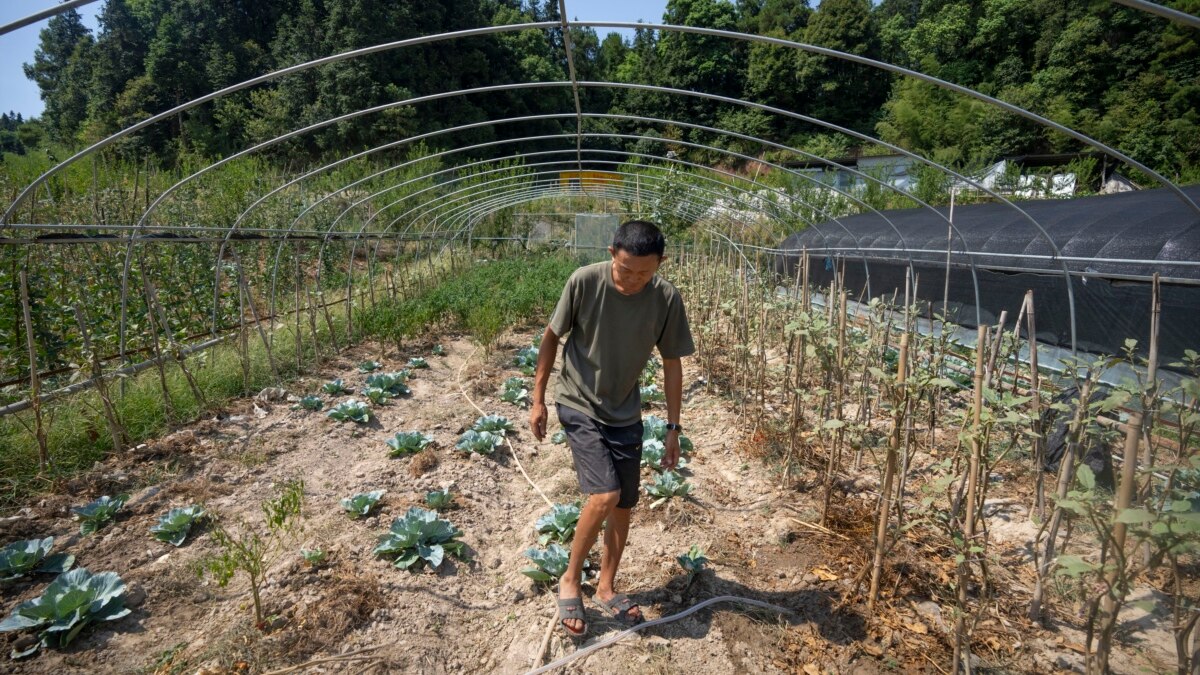 China Plans Cloud Seeding to Protect Grain Crop from Drought