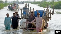 ماہرین کے مطابق پاکستان میں حالیہ سیلاب سے خواتین اور بچوں سمیت تین کروڑ سے زائد لوگ متاثر ہوئے ہیں۔ جو اب صحت کے خطرات سے بھی دوچار ہیں۔