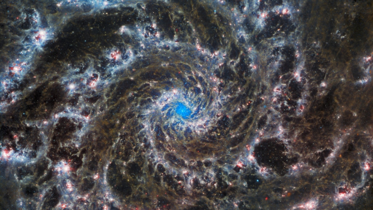 James Webb Telescope: Six Months of Images