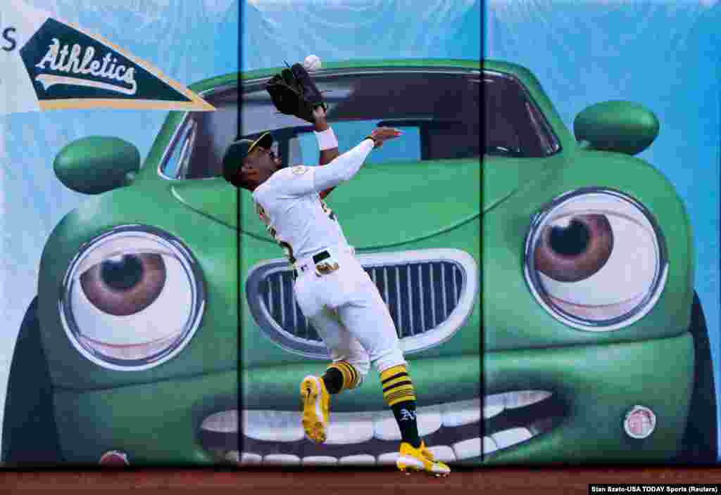 Oakland Athletics left fielder Tony Kemp catches the ball during the first inning of a game against the Miami Marlins at RingCentral Coliseum in Oakland, California, Aug. 22, 2022.