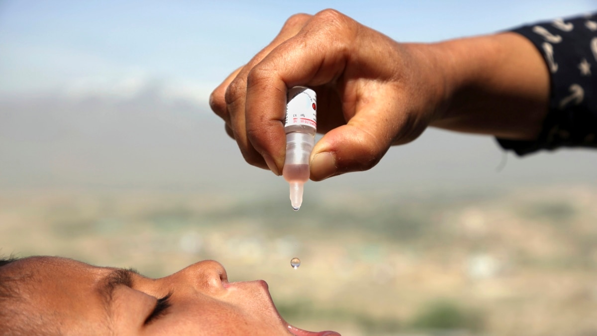 Полиомиелит в Великобритании, США и других странах выявляет редкие риски пероральной вакцины