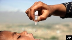 FILE - An Afghan health worker uses an oral polio vaccine on a child as part of a campaign to eliminate polio, on the outskirts of Kabul, Afghanistan, April 18, 2017.