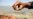 Polio in UK, US, Elsewhere Reveals Rare Risk of Oral Vaccine