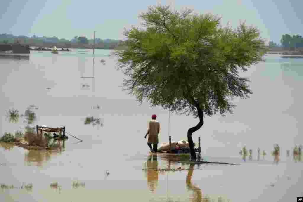 سیلاب سے اب تک تقریباً ایک ہزار افراد ہلاک ہوچکے ہیں۔