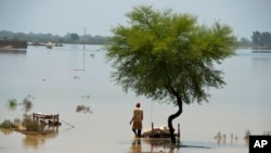 Pakistan Floods