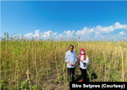 Presiden Jokowi ketika berkunjung ke daerah penghasil sorgum di NTT, Juni 2022. (Foto: Setpres)