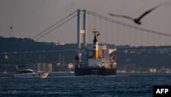 FILE - The Panama-flagged bulk carrier Navi Star carrying tons of grain from Ukraine sails along the Bosphorus Strait past Istanbul on Aug. 7, 2022, after being officially inspected. 