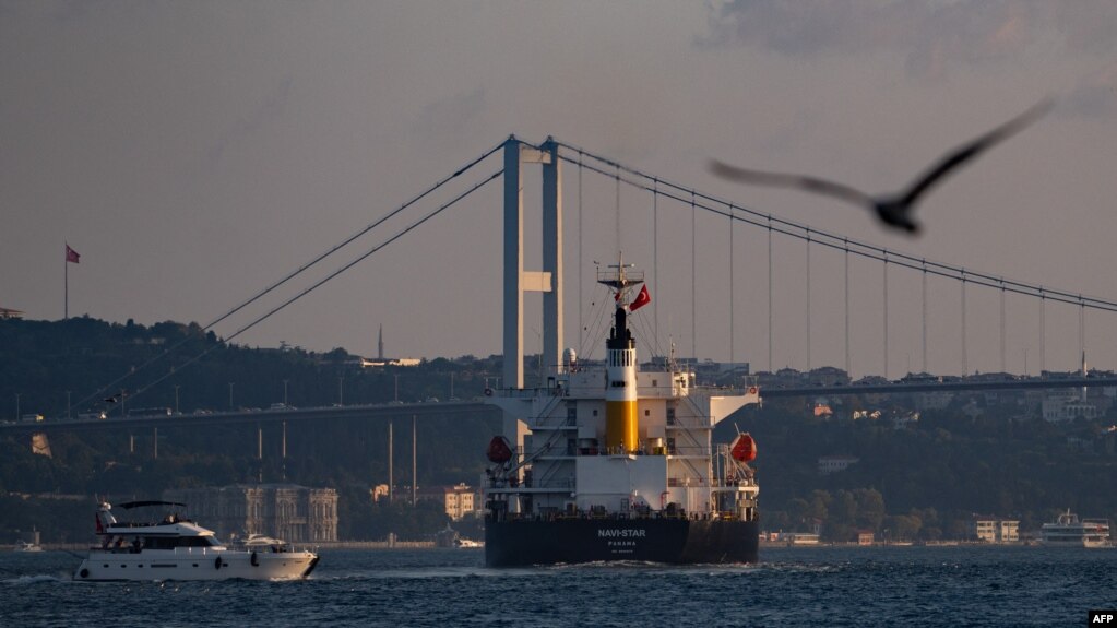 一艘悬挂巴拿马旗的货轮在伊斯坦布尔经过检查正在穿越博斯普鲁斯海峡（2022年8月7日）(photo:VOA)