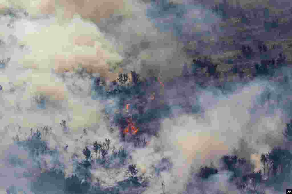 A forest burns during a wildfire near Alcublas, eastern Spain. (AP Photo/Alberto Saiz)