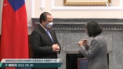 台湾总统蔡英文会见危地马拉外交部长 