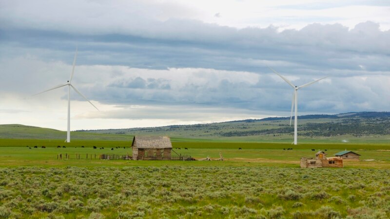 Wind Energy Boom and Golden Eagles Collide in the US West