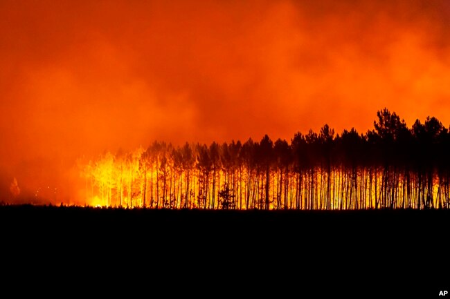 FILE - This photo provided by the fire brigade of the Gironde region SDIS 33, (Departmental fire and rescue service 33) shows a wildfire burning near Saint-Magne, south of Bordeaux, southwestern France, Aug. 12, 2022. The season of heat waves and wildfires produced excellent grapes, despite lower yields. (SDIS 33 via AP, File)