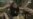 16x9 Image