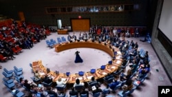 Засідання Ради Безпеки ООН в Нью-Йорку, 24 серпня. Фото AP/Mary Altaffer