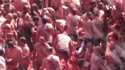 Revelers Relish Return of Spain’s Tomatina Festival