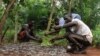 Climat : au Togo, la forêt de Togodo résiste grâce à la conservation