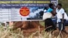 Sebuah papan pengumuman yang berisi anjuran bagi para warga untuk mengikuti vaksinasi polio dan campak terpasang di sebuah klinik di Harare, Zimbabwe, pada 21 Juni 2012. (Foto: Reuters/Philimon Bulawayo) 