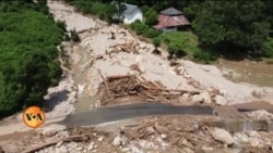 درختوں کی کٹائی اور بے ہنگم تعمیرات سیلاب سے تباہی کی بڑی وجہ