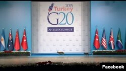 Cats take center stage at G-20 summit in Turkey