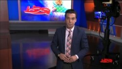 ورود زنان به استادیوم های فوتبال