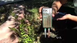 นักศึกษาชิลีประดิษฐ์อุปกรณ์ดึงพลังงานจากพืชมาชาร์จโทรศัพท์มือถือ