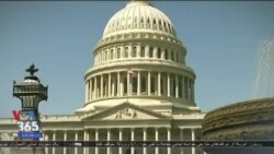 اخبار شامگاهی