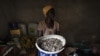 Le pangolin au Liberia: "On le tue, on le mange, les écailles on les vend"