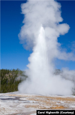 Amazing geysers are highlighted by the famous Old Faithful, which erupts approximately every 1.5 hours.  (Photo courtesy of Carol Highsmith)