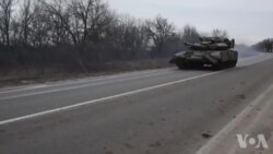 Ikrenyen yo nan New York manifeste kont envazyon Larisi nan peyi yo. Valerio Saint Louis