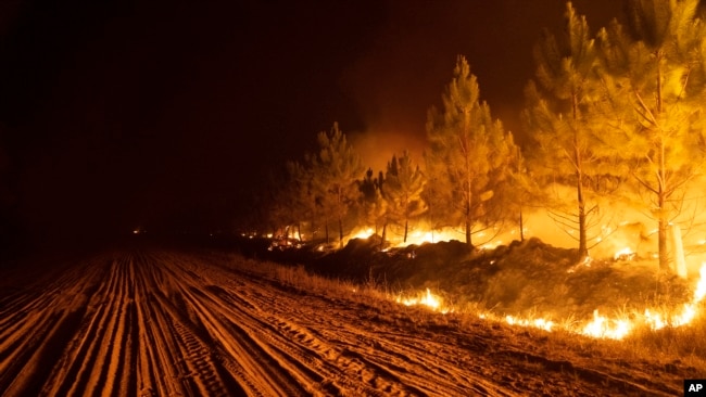 A wildfire consumes a forest near Ituzaingo in the Corrientes province of Argentina, Feb. 19, 2022. Local authorities attributed the fires to the burning of pastures for cattle ranching, which has been prohibited since December. (AP Photo/Rodrigo Abd, File)