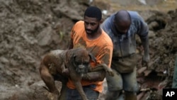 A man carries a dog rescued from a residential area destroyed by landslides in Petropolis, Brazil, Feb. 16, 2022. (AP Photo/Silvia Izquierdo, File)