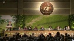 Conférence de l'ONU sur l'environnement