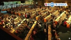 Manchetes Africanas 28 Fevereiro: Quénia acolhe encontro mundial contra o plástico