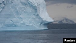 FILE - Penguins swim in the sea as scientists investigate the impact of climate change on Antarctica's penguin colonies, on the northern side of the Antarctic peninsula, Jan. 15, 2022.