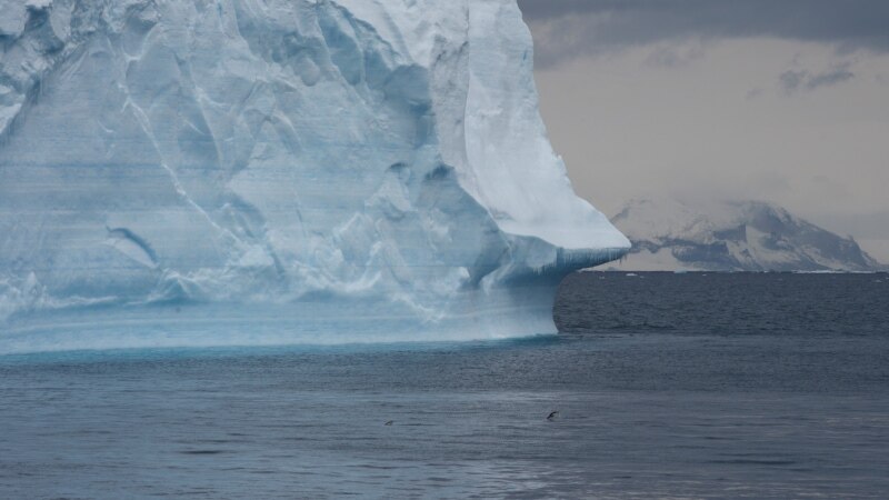 Climate Change Poses Grave Threat to a Healthy Planet