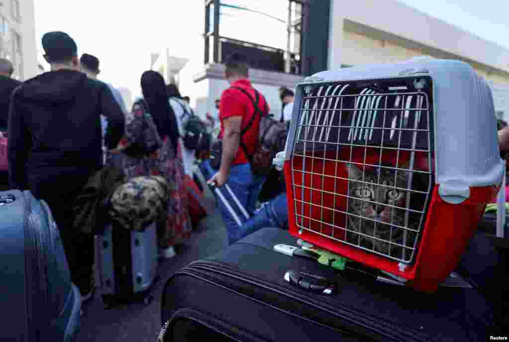 A cat sits in a cage as Turkish nationals wait to register for boarding Turkish navy ships to leave Lebanon, amid the ongoing hostilities between Hezbollah and Israeli forces, in Beirut.